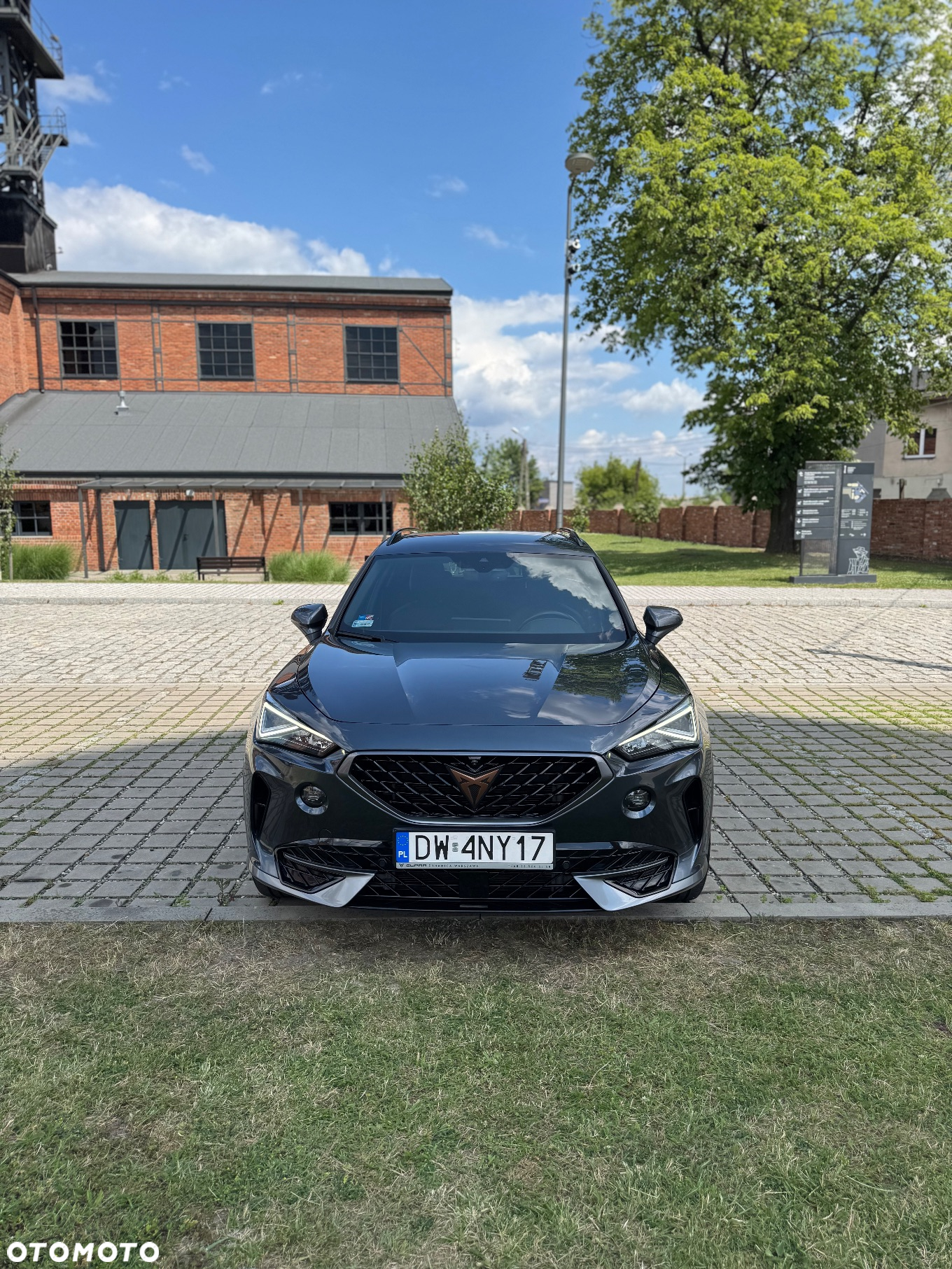 Cupra Formentor 2.0 TSI 4Drive DSG - 3