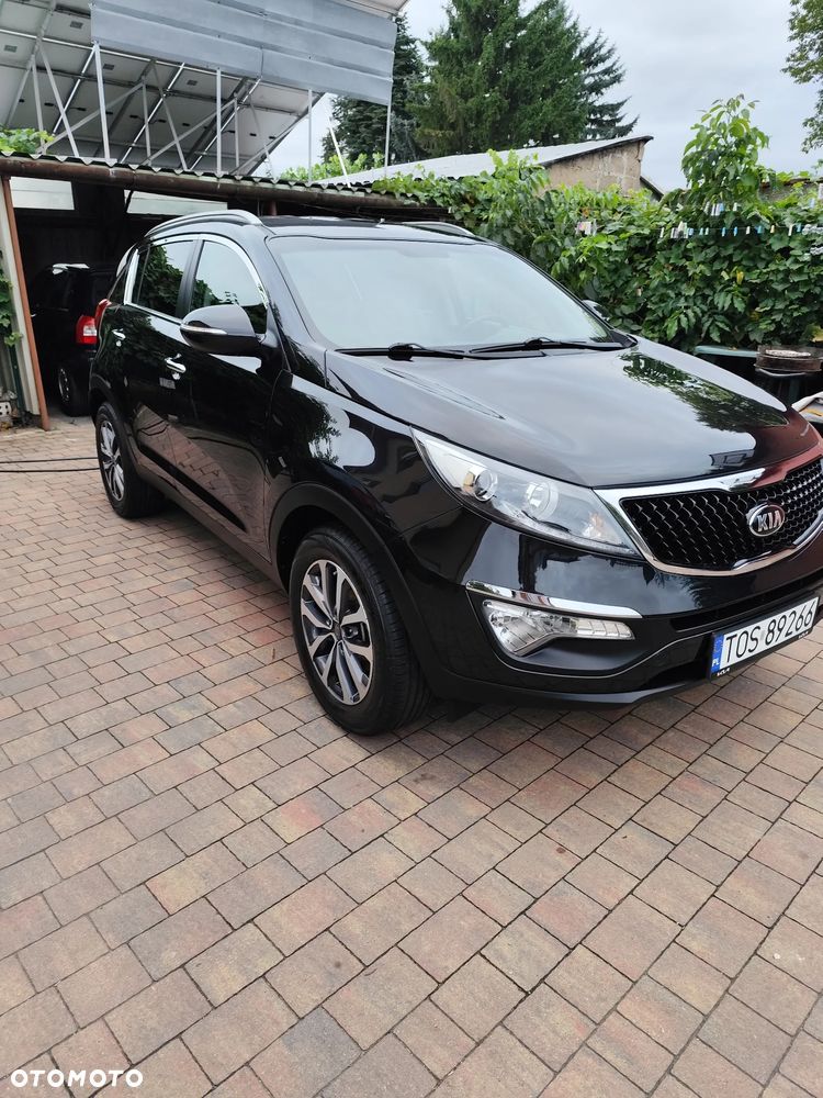 Kia Sportage - 21