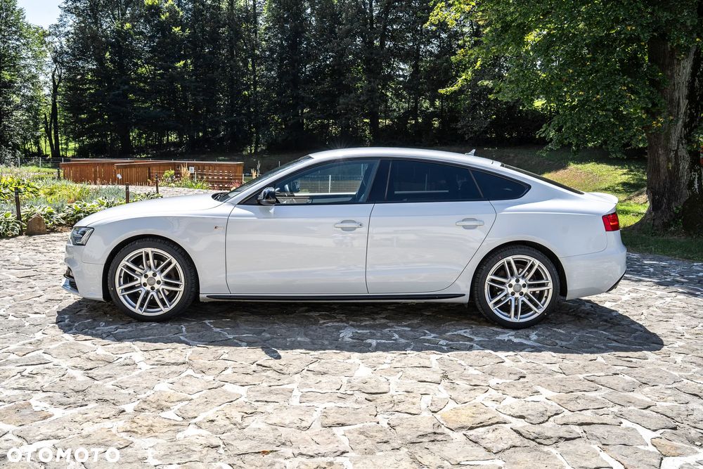 Audi A5 Sportback 2.0 TDI (clean diesel) quattro DPF - 19