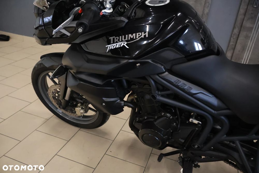 Triumph Tiger - 19