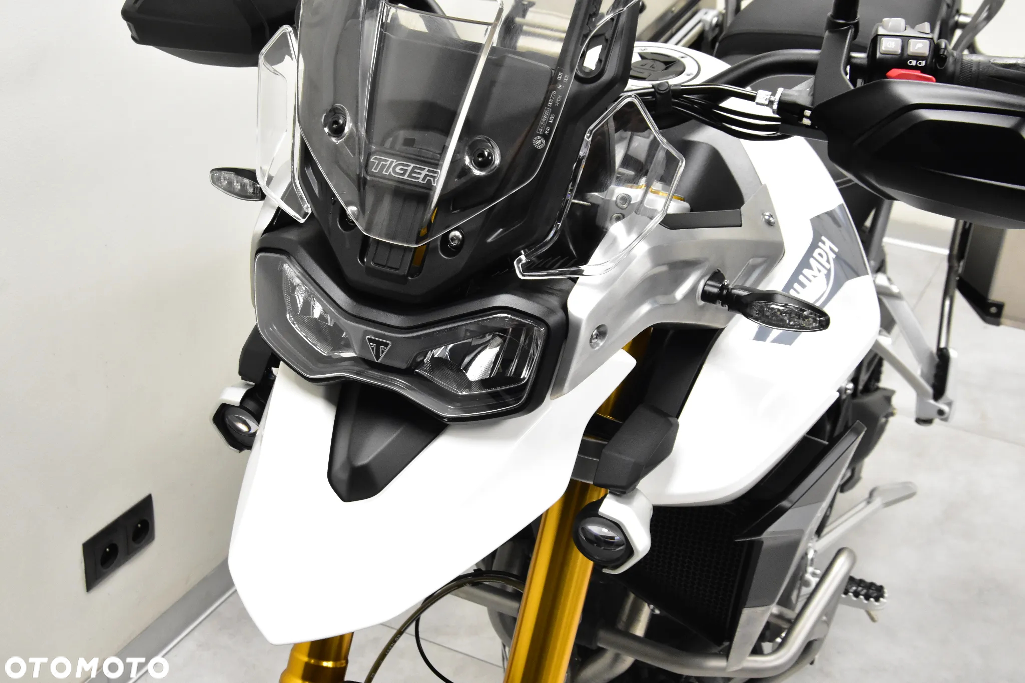 Triumph Tiger - 19