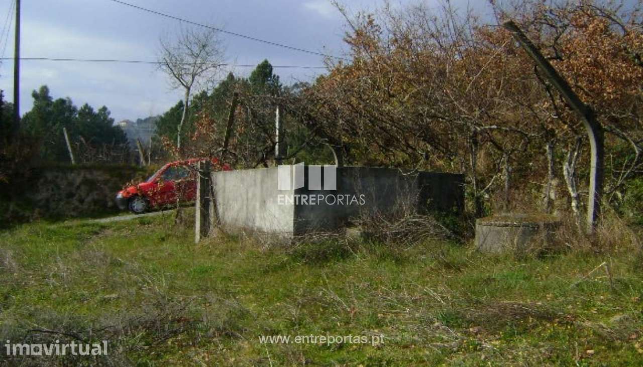 Venda Terreno, Santa Leocádia, Baião - Grande imagem: 3/7