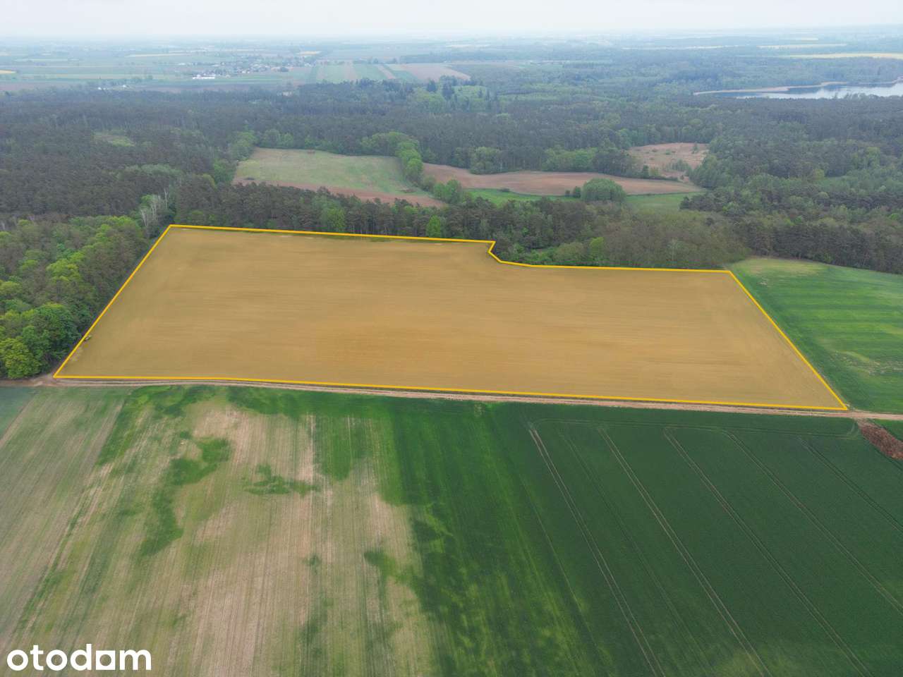 Działka rolna | 4,93 ha | świetna lokalizacja - Pełny obrazek: 2/4