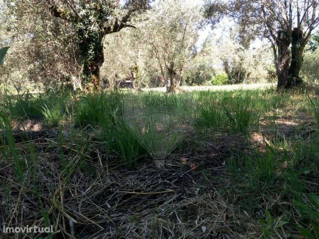 Terreno  para venda - Grande imagem: 4/7