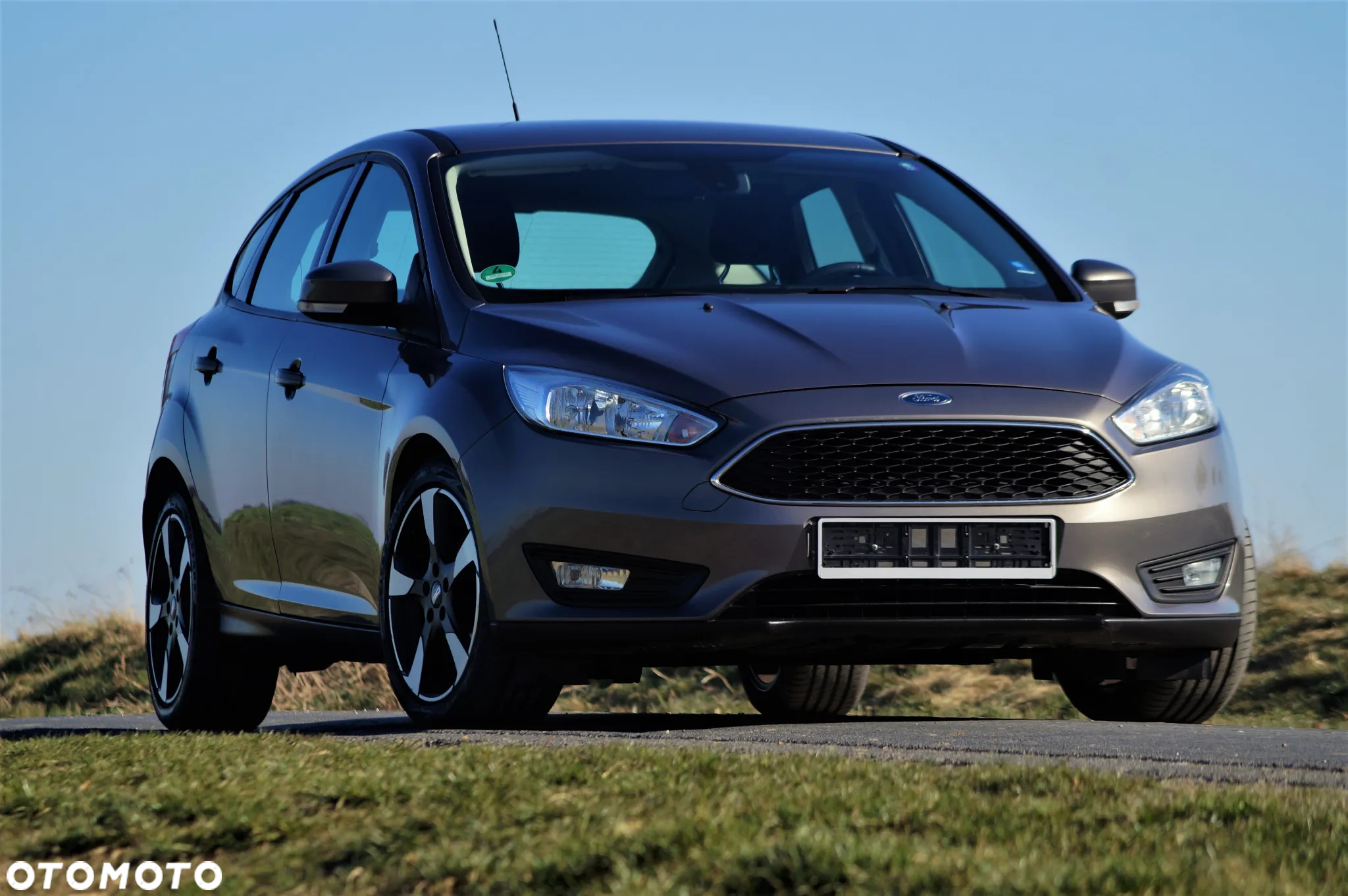 Ford Focus - 7