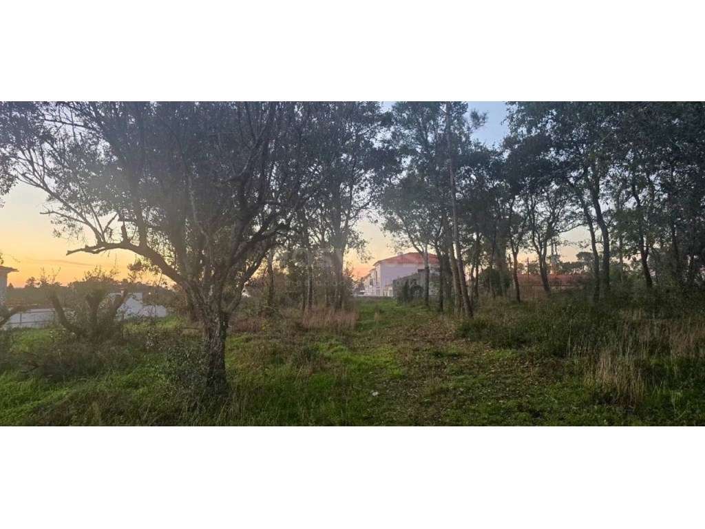 Terreno localizado em Souto da Carpalhosa - Grande imagem: 2/7