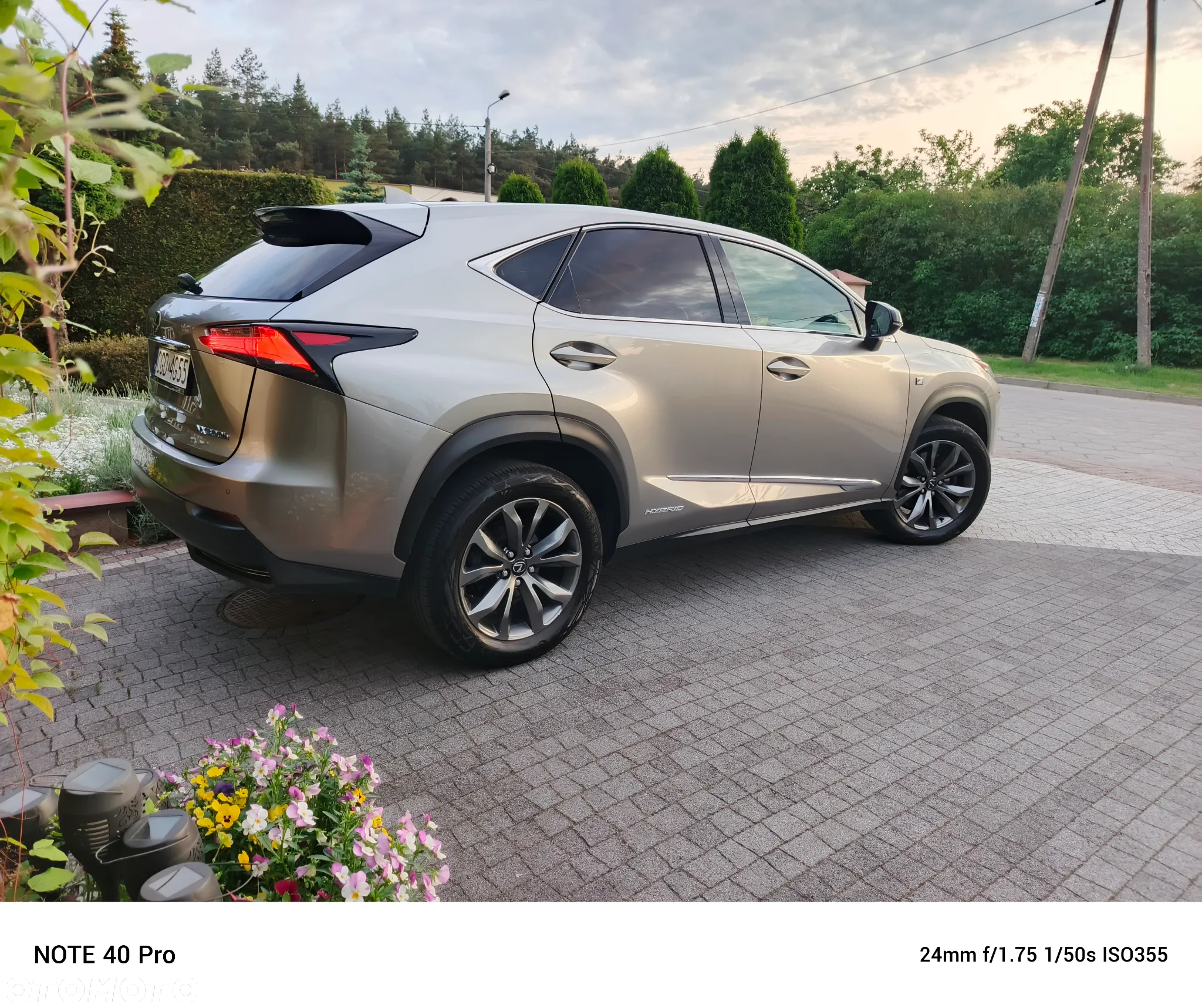 Lexus NX 300h F Sport AWD - 4