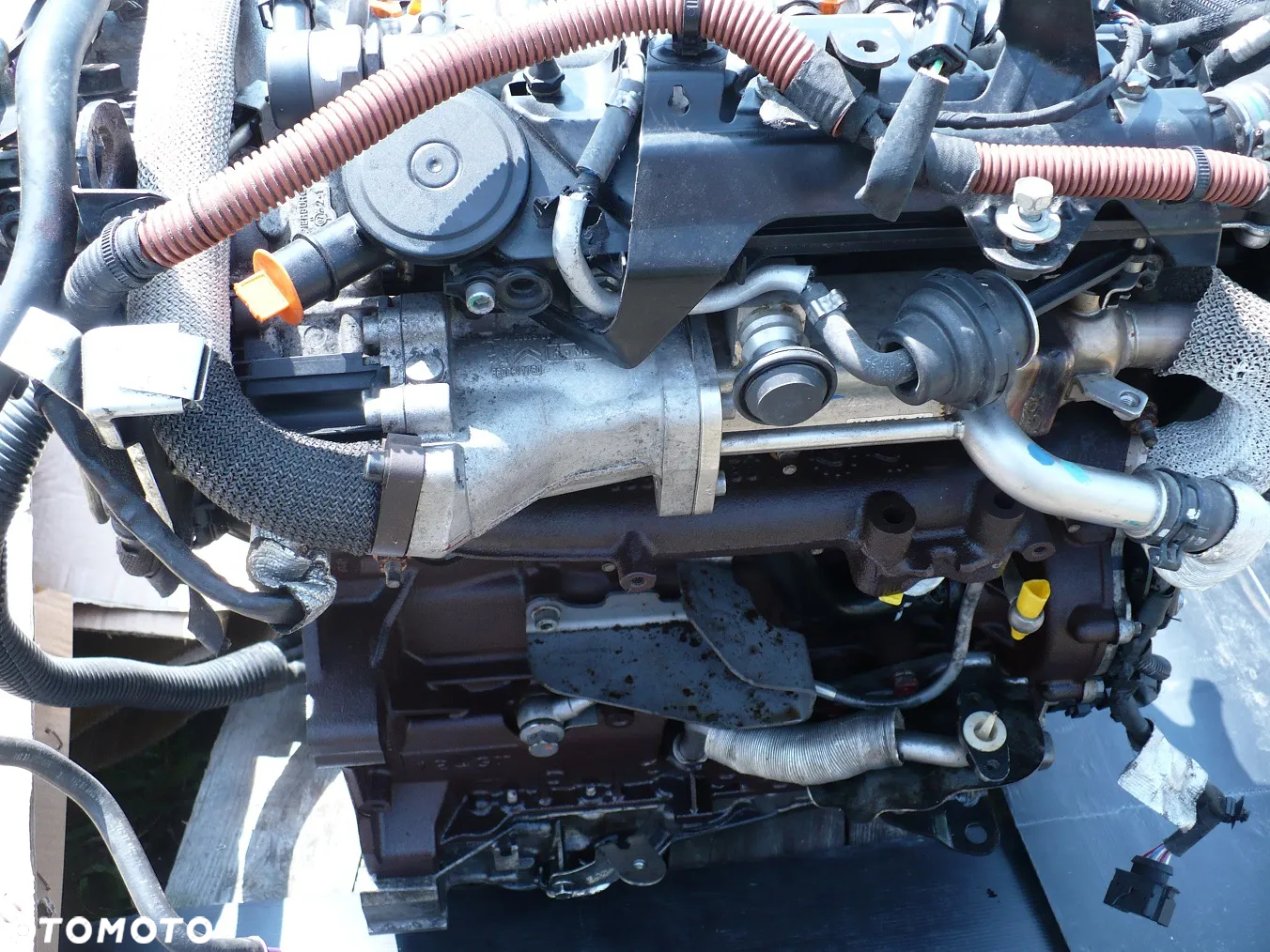 citroen peugeot 2.2hdi 10DZ55 4HN SILNIK 63TYS. PRZEBI. EU. - 4