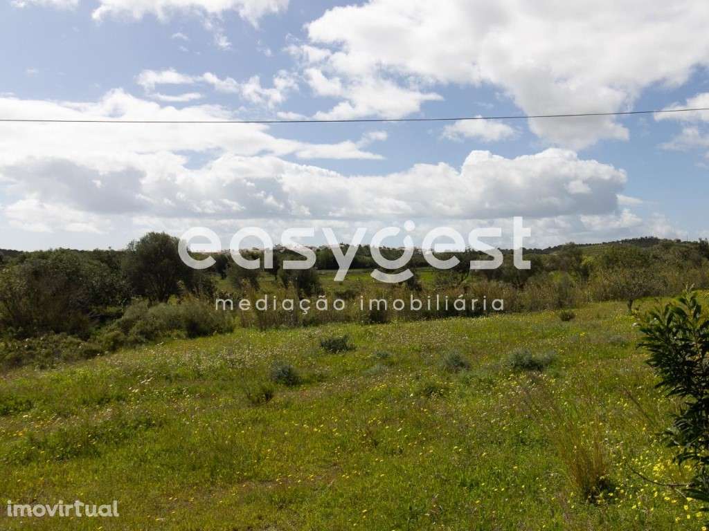 Terreno Rústico com poço para cultura de sequeiro no Sapal Chão - Grande imagem: 4/16