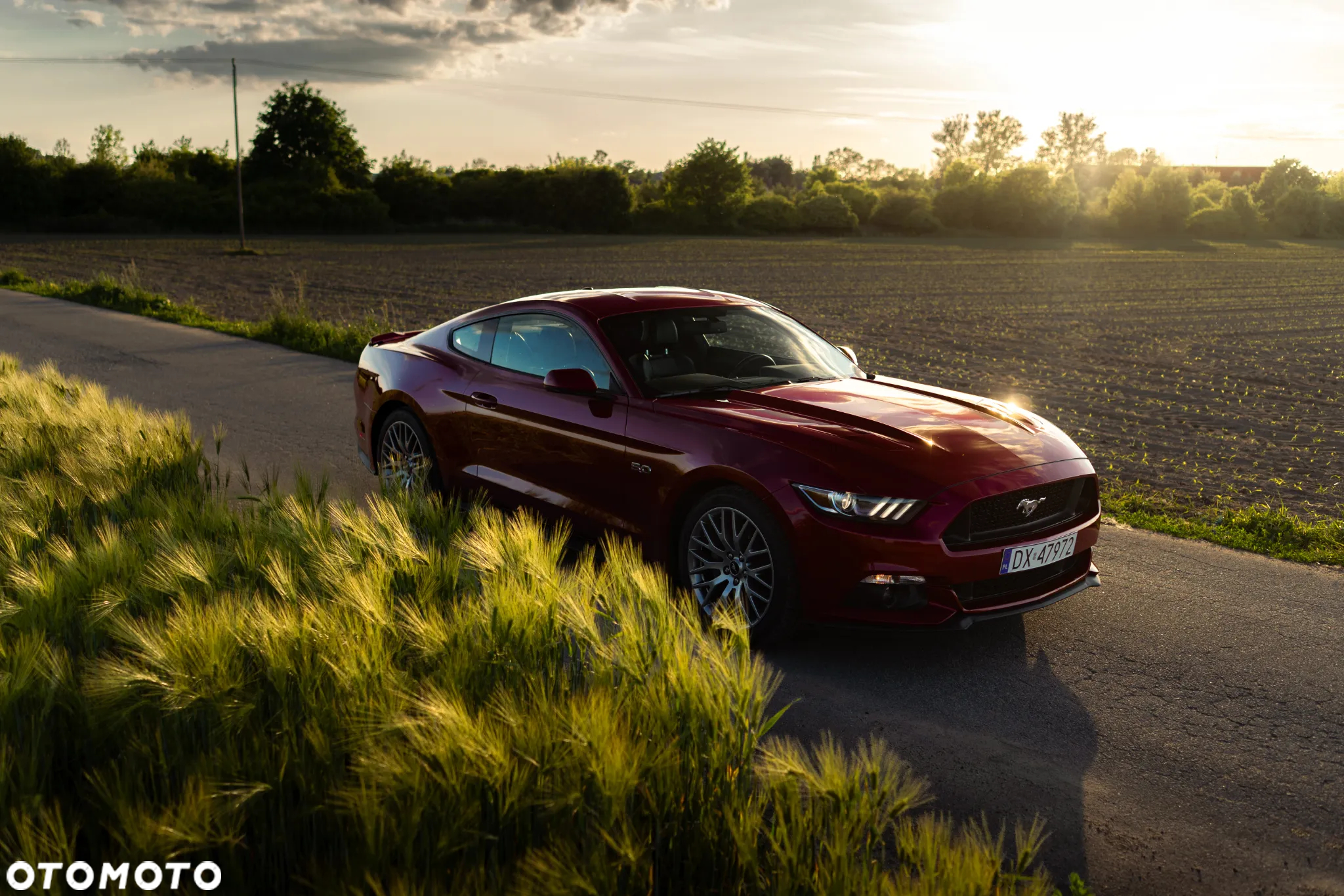 Ford Mustang 5.0 V8 GT - 8
