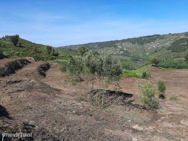 Terreno com casa e acesso ao rio, em Seixas da Beira. - Grande imagem: 3/12