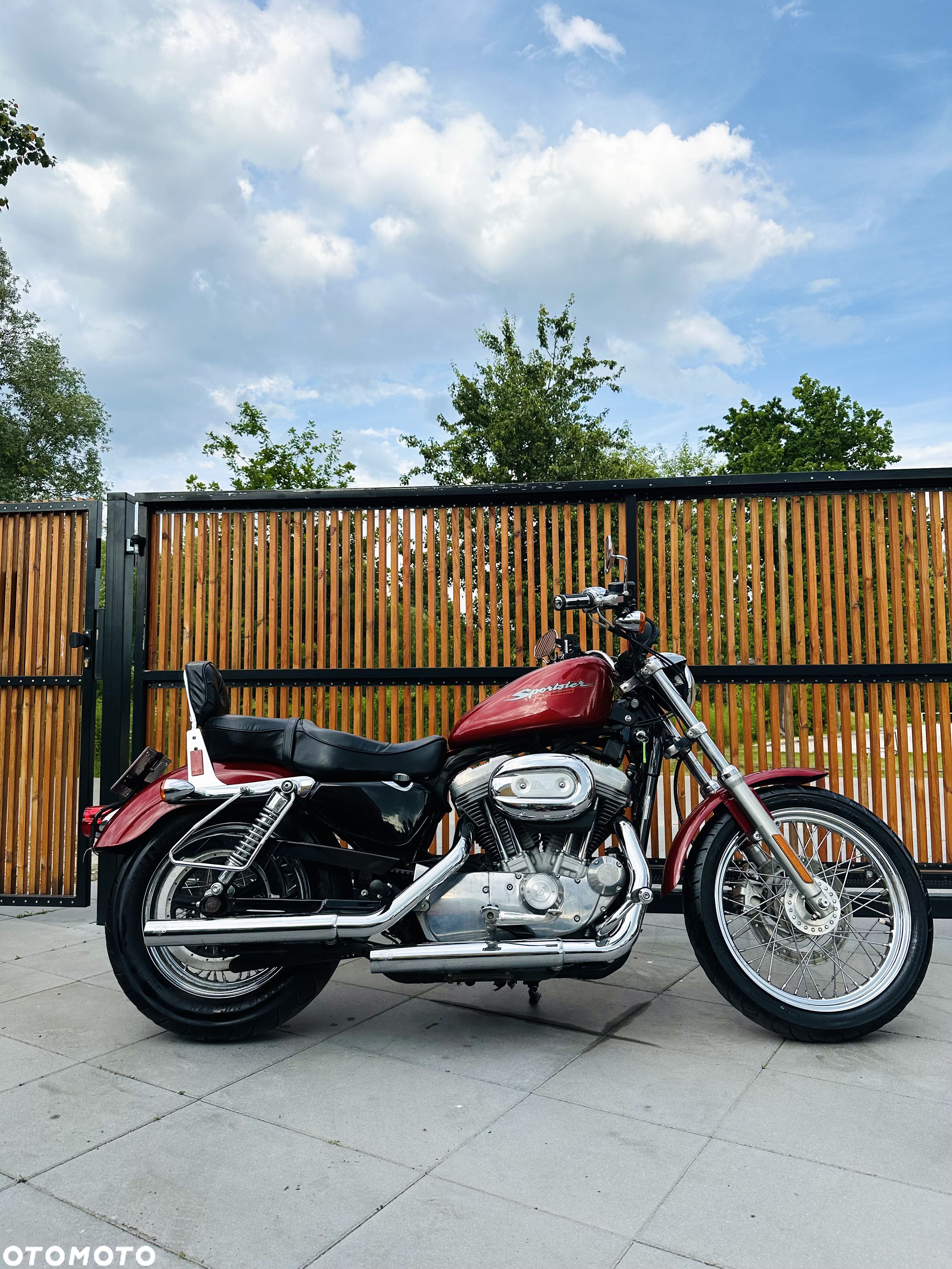 Harley-Davidson Sportster Custom 883C - 1