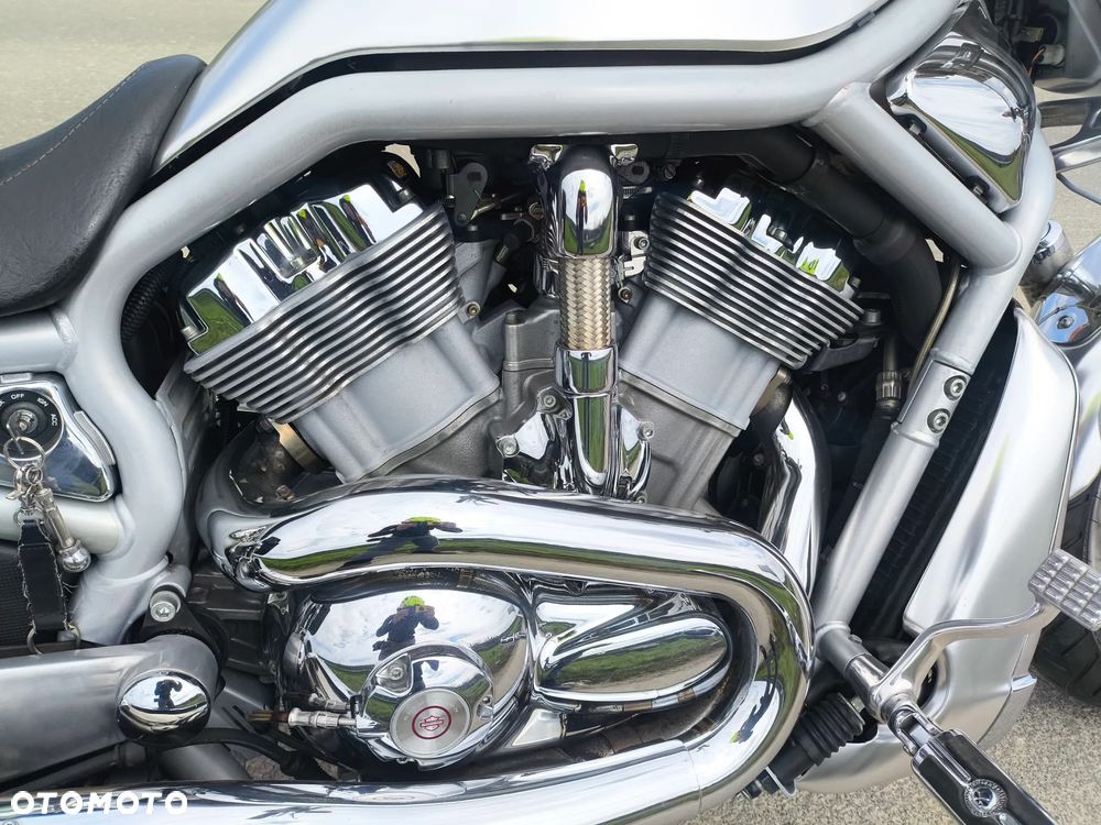Harley-Davidson V-Rod Street Rod - 8