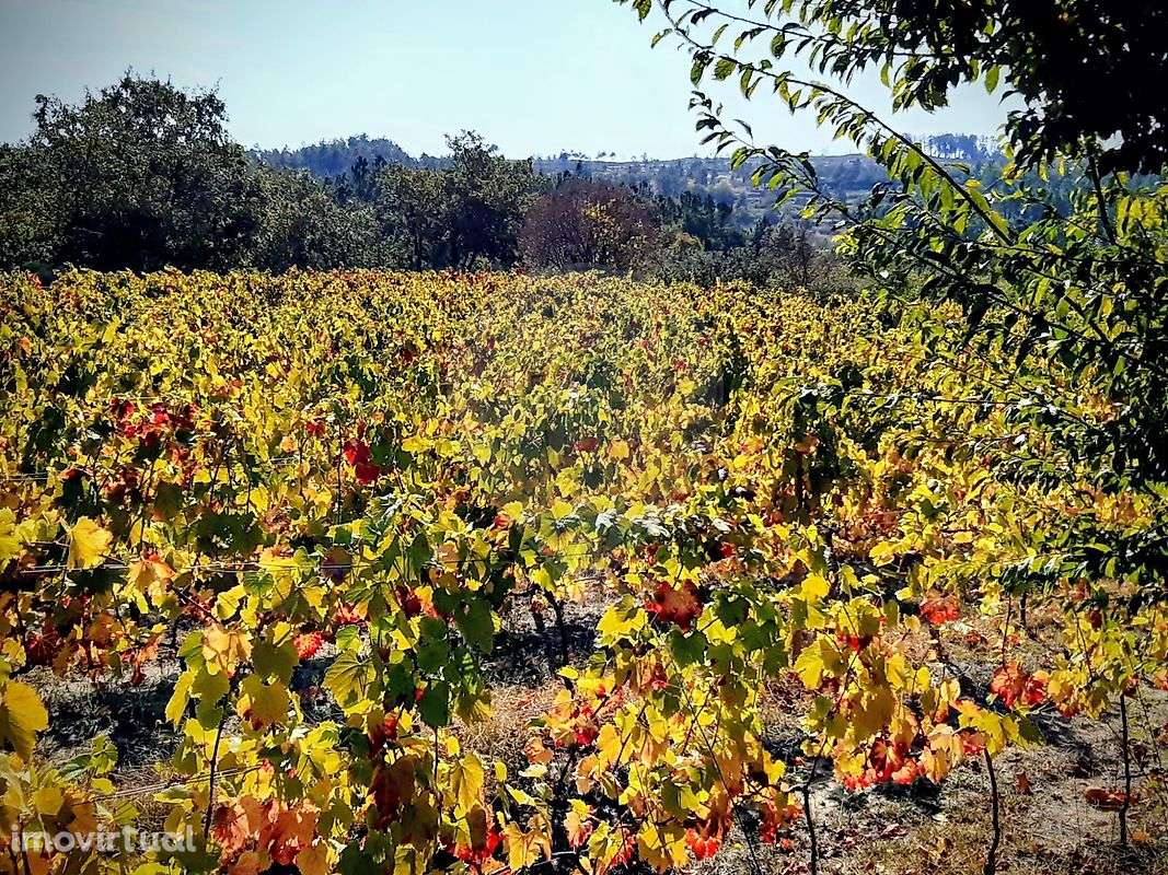 Terreno  para venda - Grande imagem: 5/11