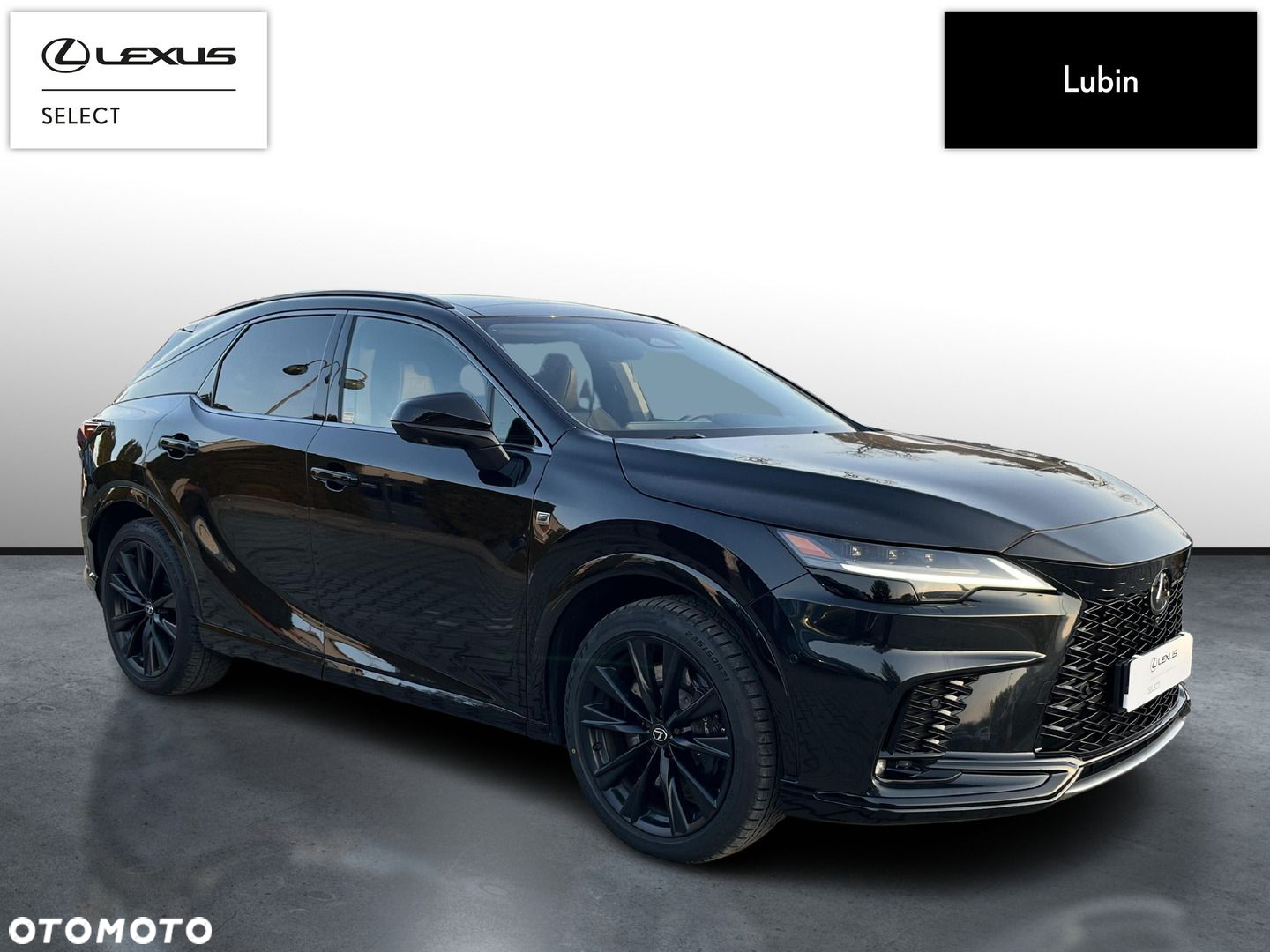 Lexus RX - 6