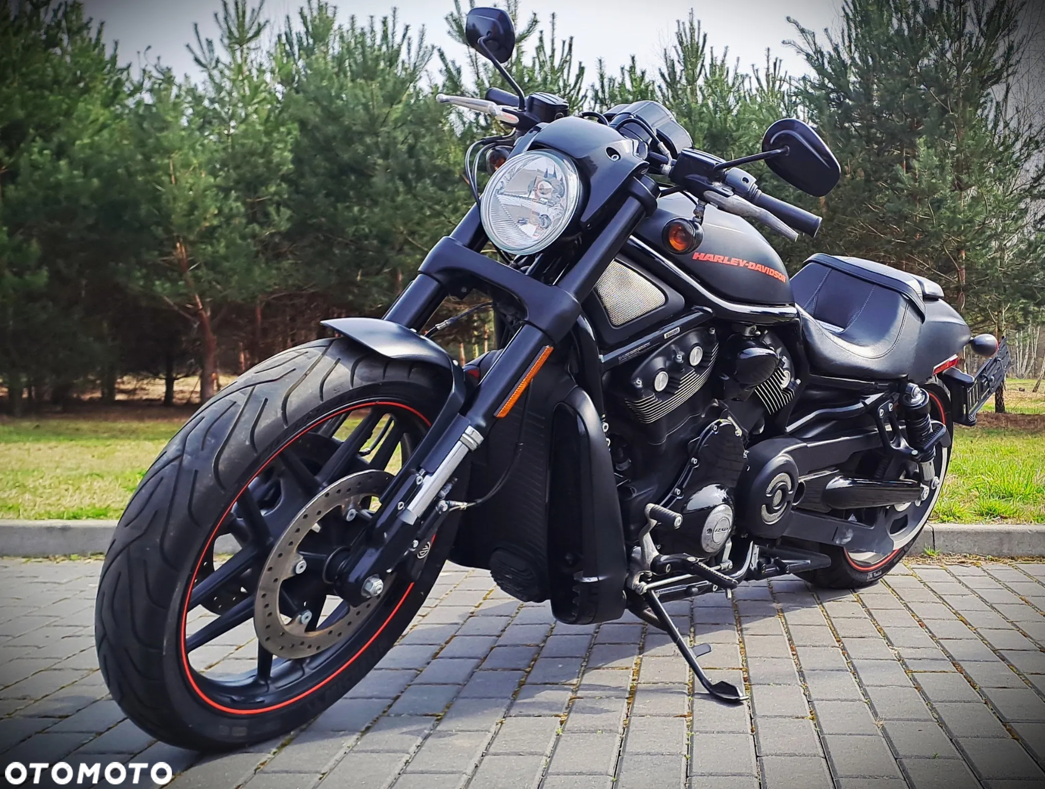 Harley-Davidson Softail V-Rod - 3