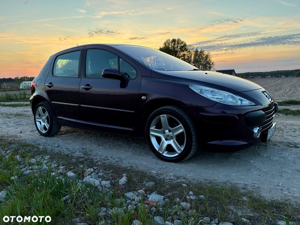 Peugeot 307 2.0 XT - 10