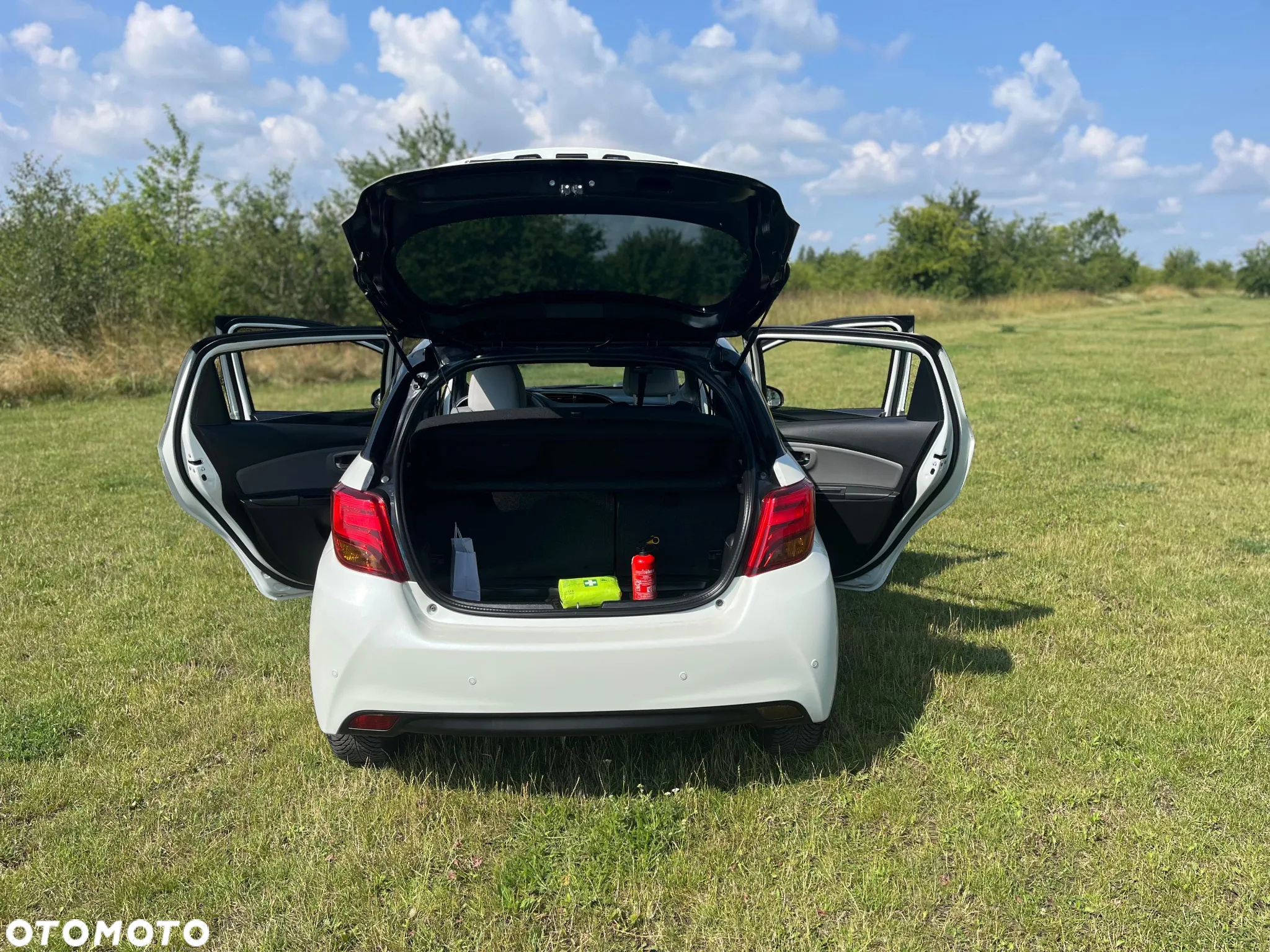 Toyota Yaris Hybrid 100 Selection Pure - 18