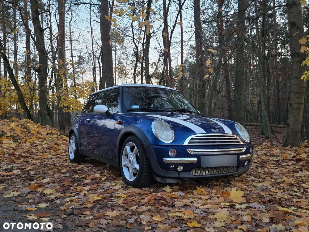 MINI Cooper chili - 16