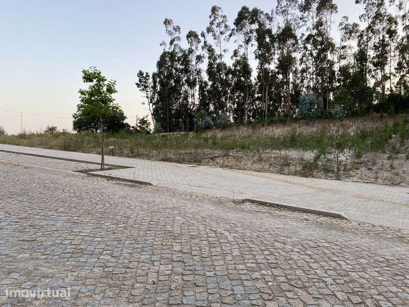 Terrenos para contrução de moradias. - Grande imagem: 4/6