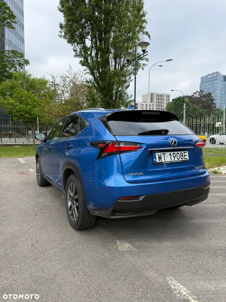 Lexus NX 300h Comfort AWD - 7