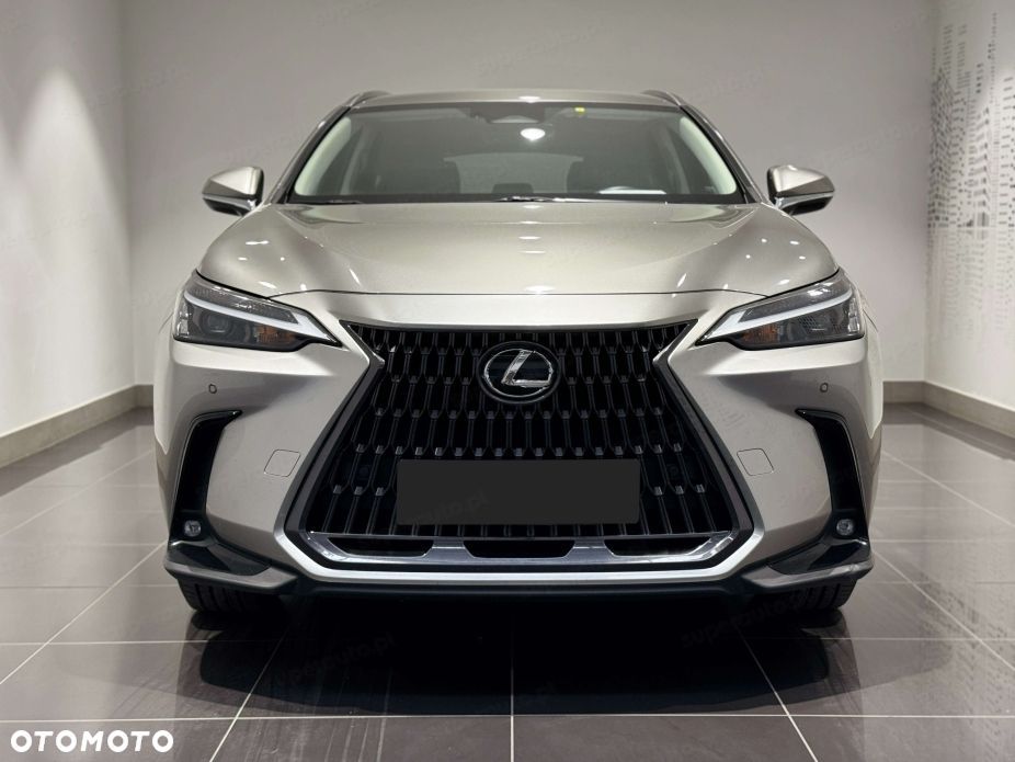 Lexus NX - 6