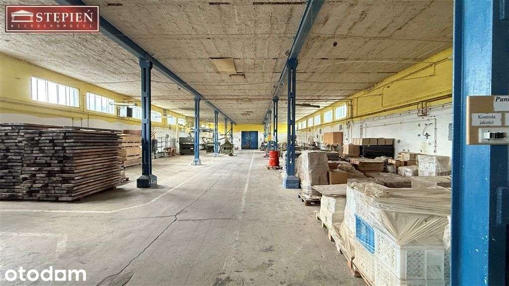 Hala/Magazyn, 3 357,03 m², Karpniki - Pełny obrazek: 4/16