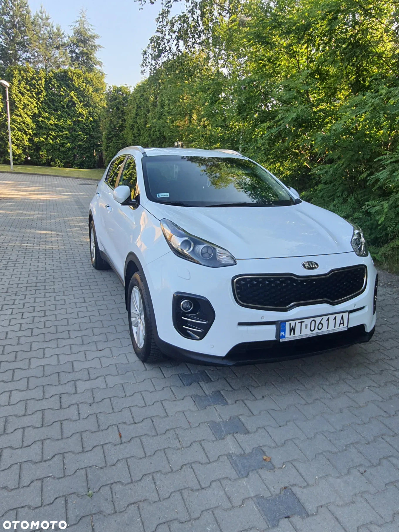 Kia Sportage 1.6 GDI Business Line 2WD - 4