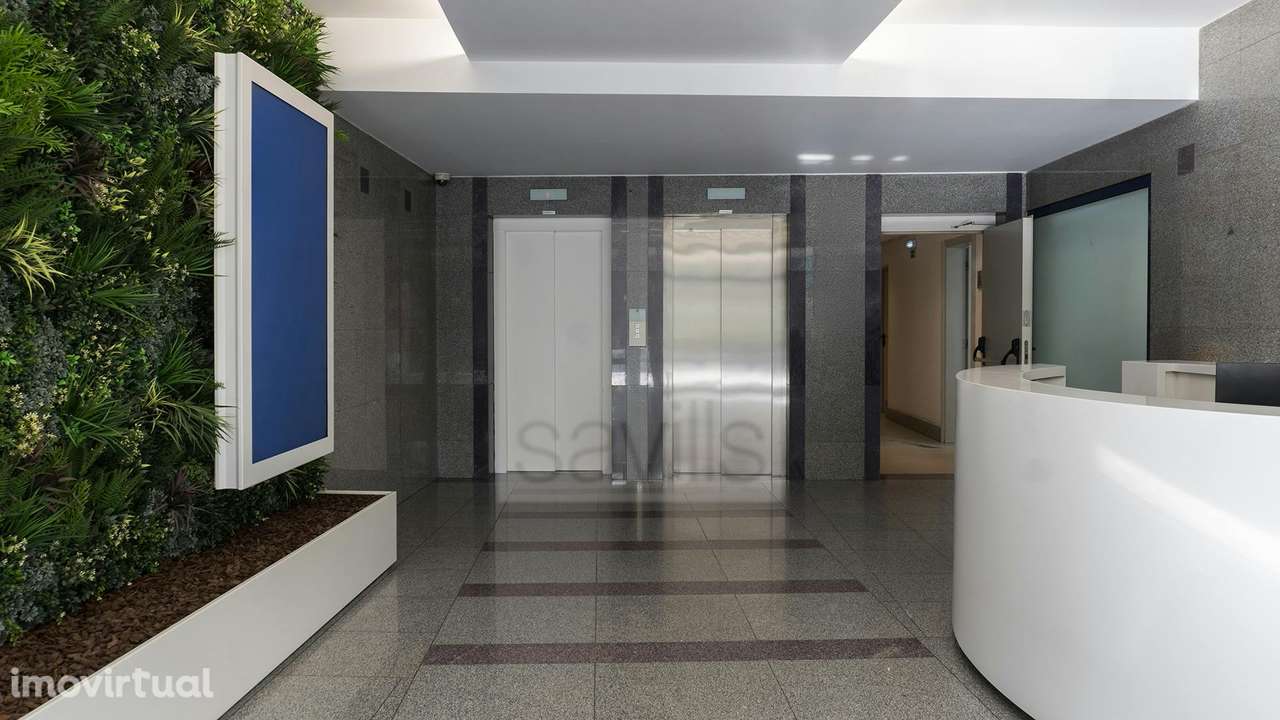 Campo Grande 378 - Grande imagem: 4/19