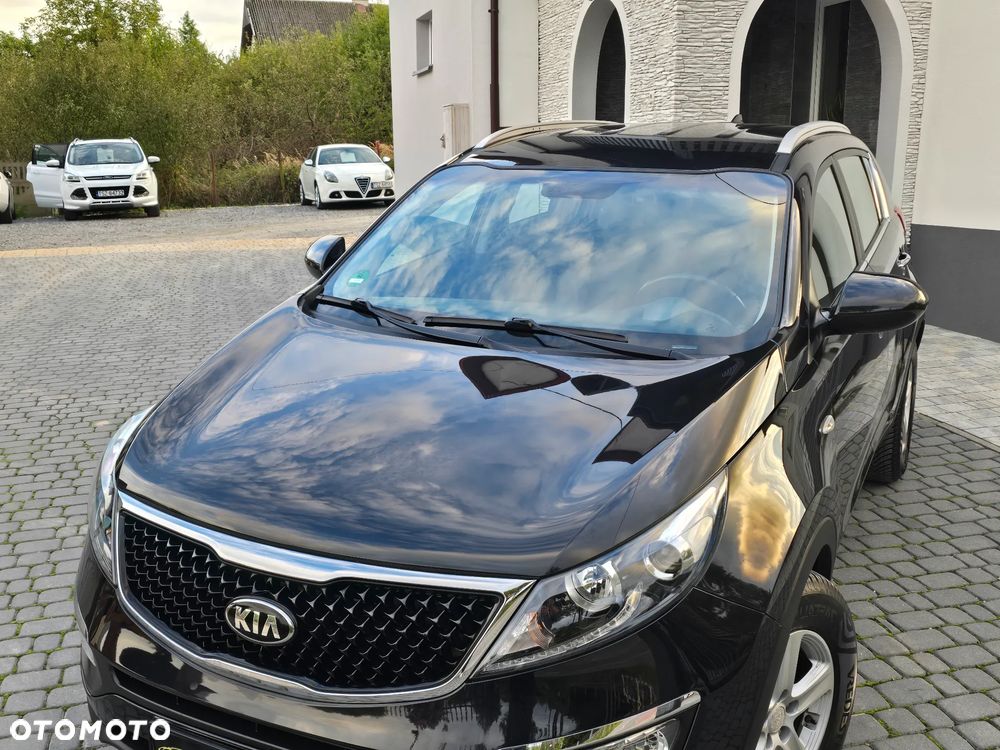 Kia Sportage 2015 photo 5
