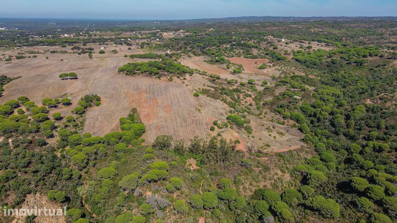 PROPRIEDADE RURAL - MELIDES - GRÂNDOLA - Grande imagem: 5/39
