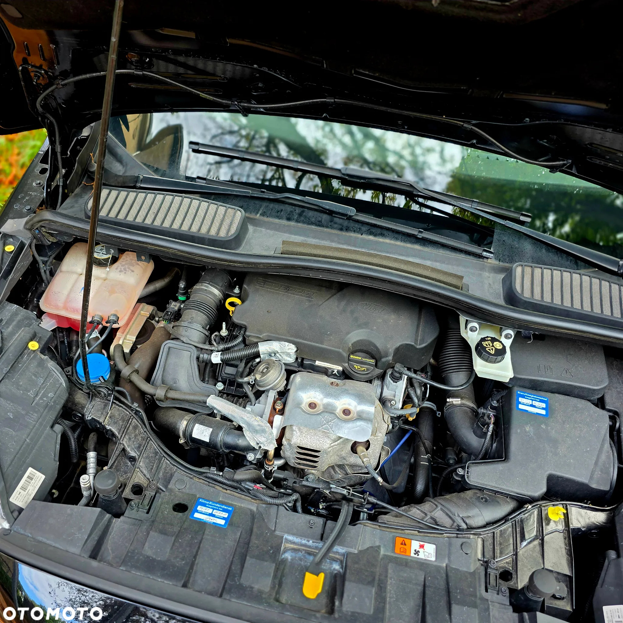 Ford C-MAX 1.0 EcoBoost Titanium ASS - 22