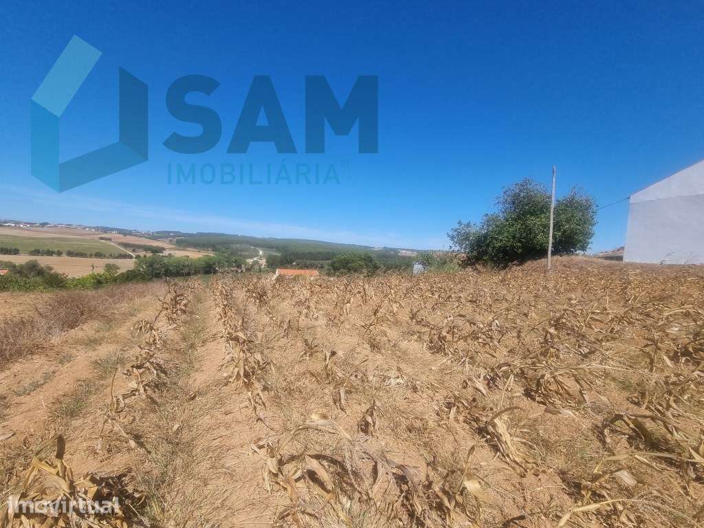 Terreno Urbanizável com 1.880 m² | Excelente Oportunidade em Campel... - Grande imagem: 3/11