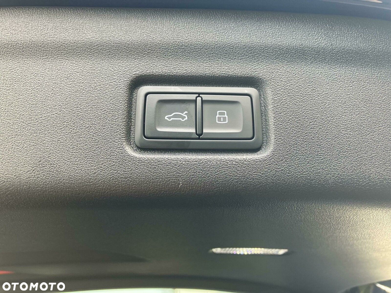 Audi SQ6 - 19