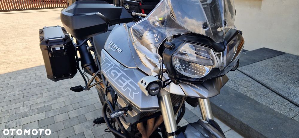 Triumph Tiger - 22