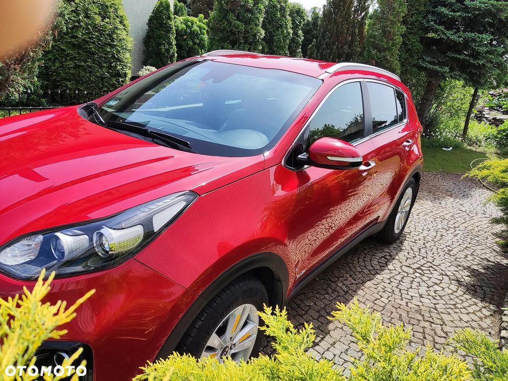 Kia Sportage 1.6 T-GDI L Business Line Plus 4WD - 20