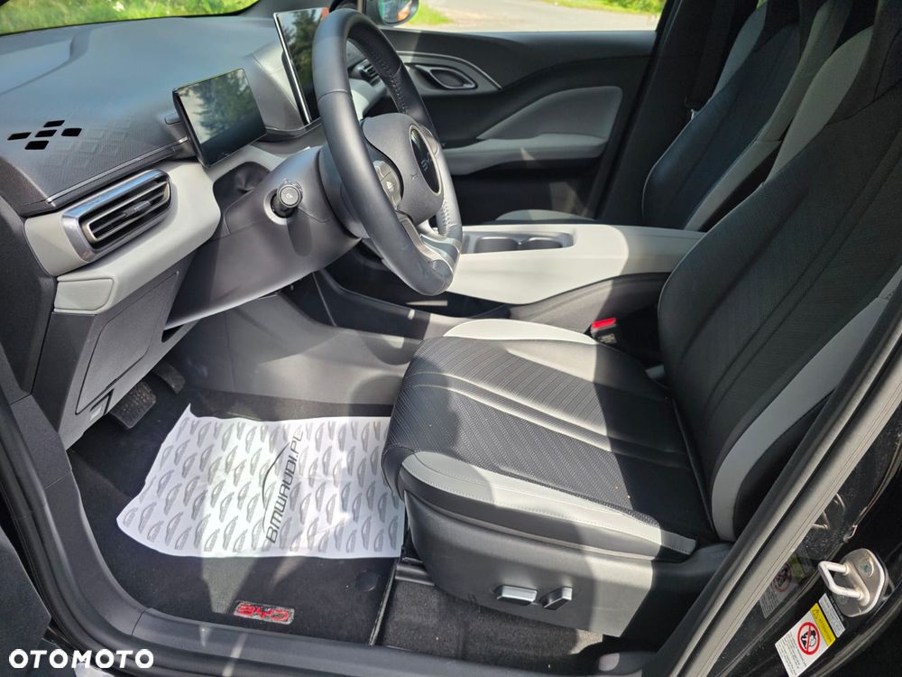 BYD Dolphin Surf - 19