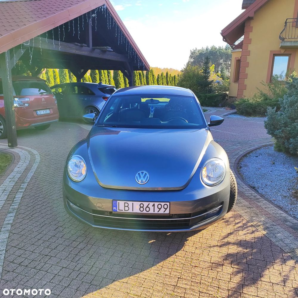 Volkswagen Beetle - 3