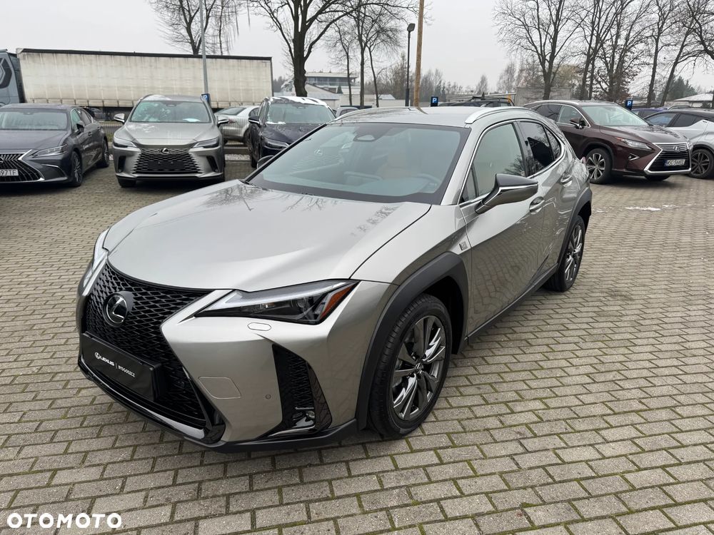 Lexus UX 300h F Sport Design - 1