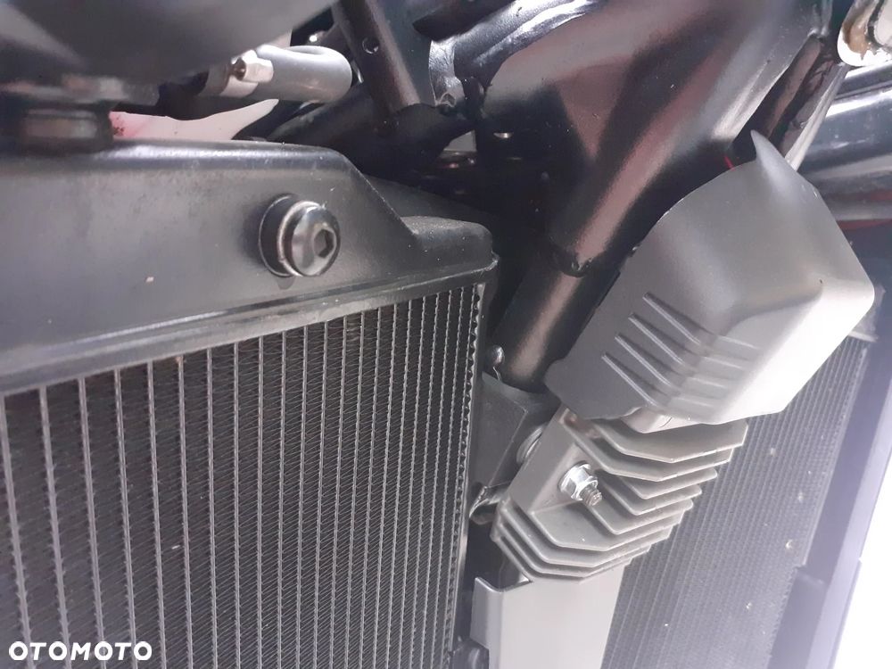 Triumph Tiger - 24