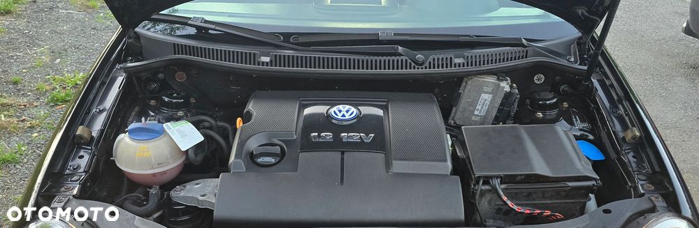 Volkswagen Polo - 15