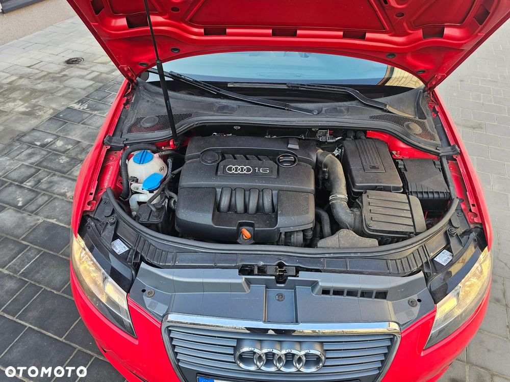 Audi A3 Cabrio 1.6 Ambition - 7