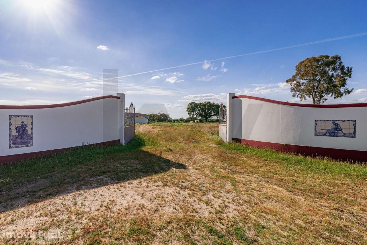 Propriedade no Alentejo criada para os aficionados d’arte equestre. - Grande imagem: 2/60