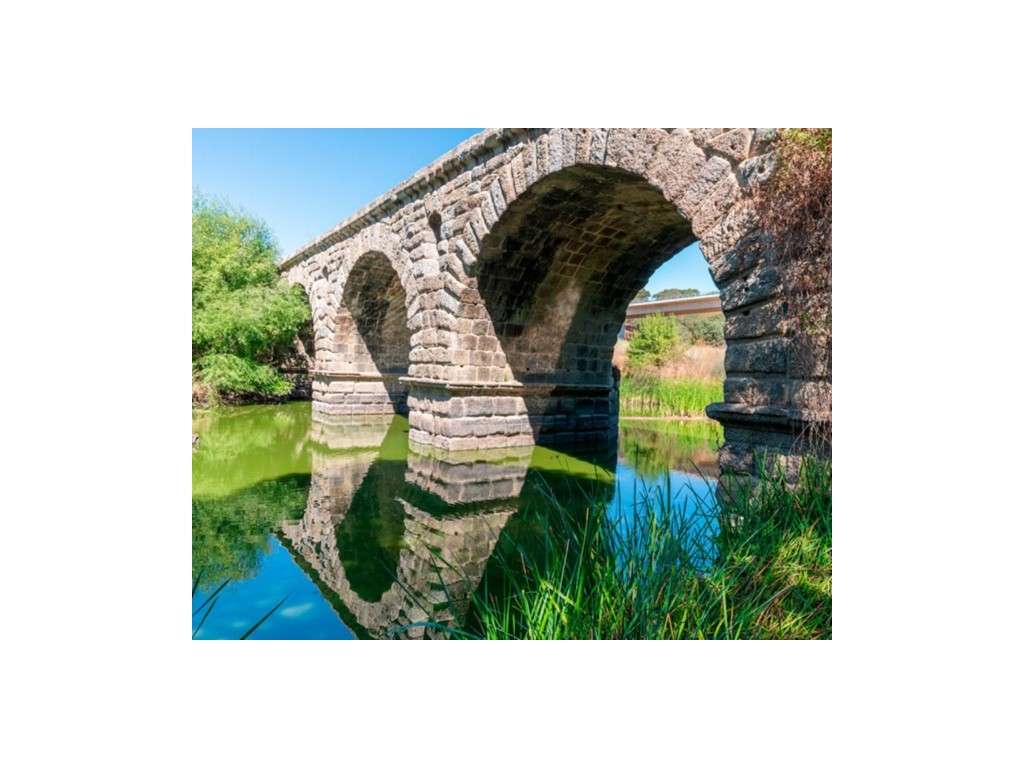 HERDADE EM PORTALEGRE FRONTEIRA - 65 HA COM 4.000 OLIVEIRAS | REGAD... - Grande imagem: 2/8