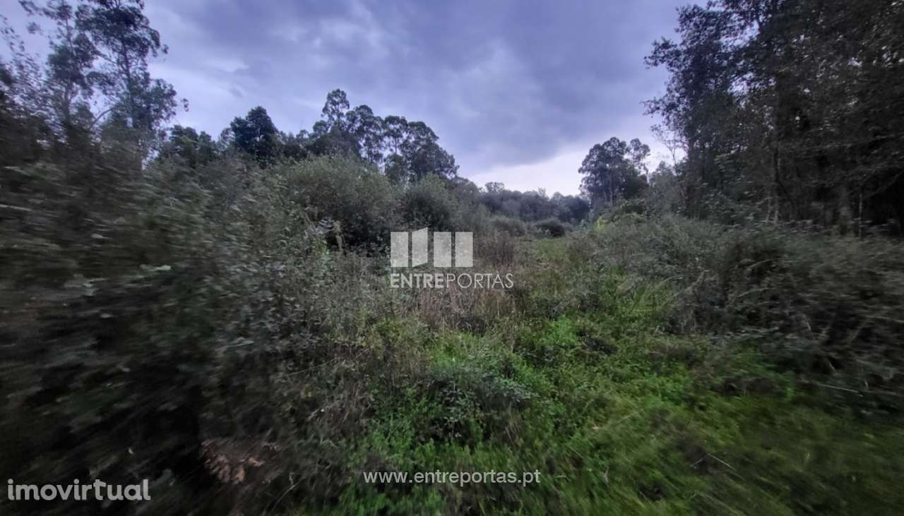 Venda de terreno florestal c/ 4590m², Vila Franca, Viana do Castelo - Grande imagem: 4/30