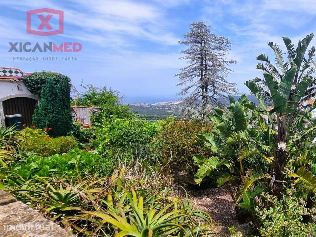 Refugio na Serra de Sintra - Grande imagem: 2/29