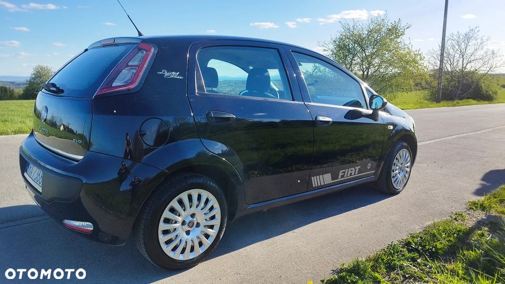 Fiat Punto - 3