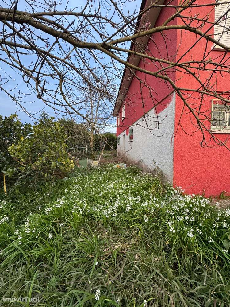 Moradia, 127 m², Gandra - Grande imagem: 4/22