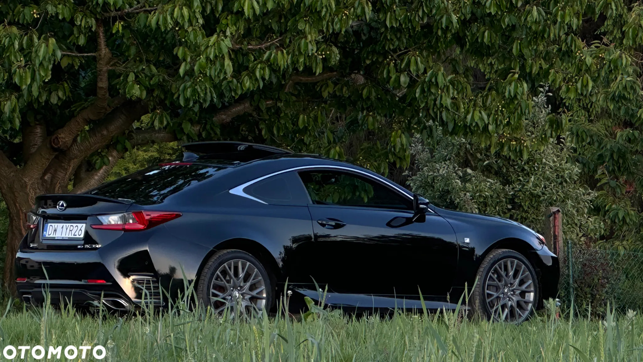 Lexus RC - 37