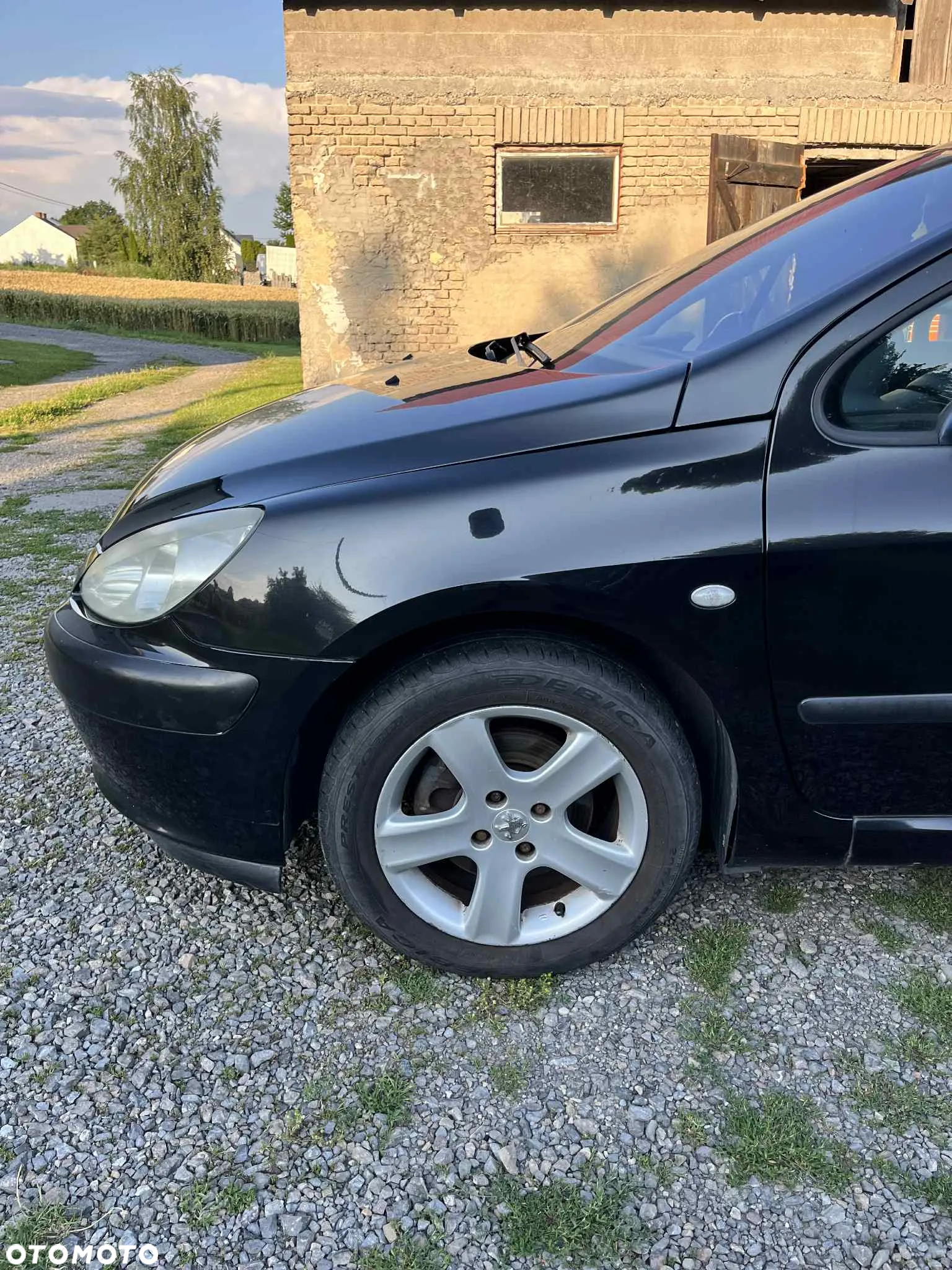 Peugeot 307 2.0 - 8